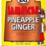 pineapple_ginger_soda_mod1